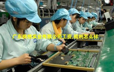 廣東楓格實業(yè) 專注針紡織品及原料銷售的專業(yè)供應(yīng)商